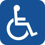 Access SVG Icon